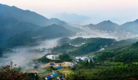 公司簡介